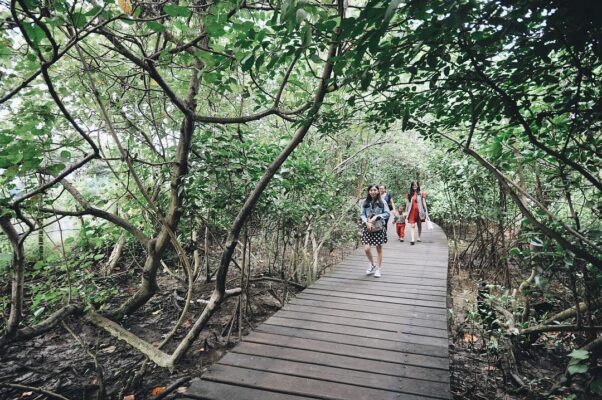 Hutan Kota Pakal