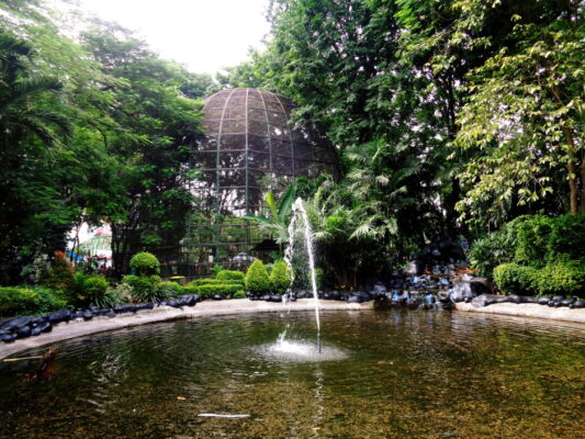 Taman-Flora-Surabaya